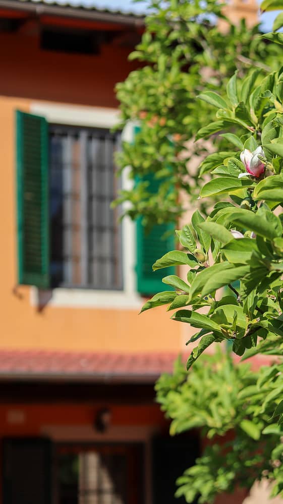 casa oliveta